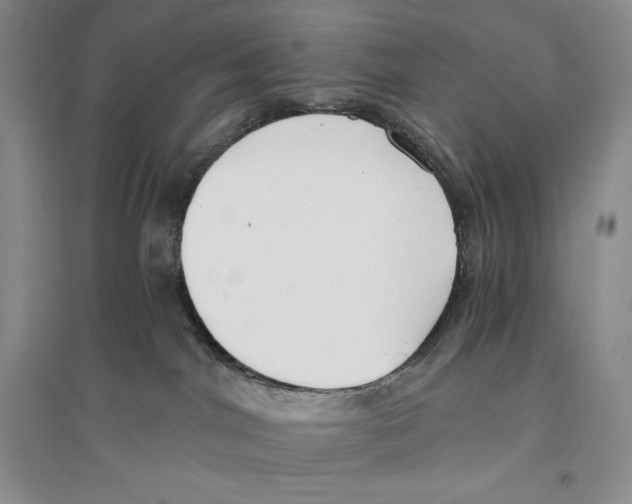 X0000096180044200802151451