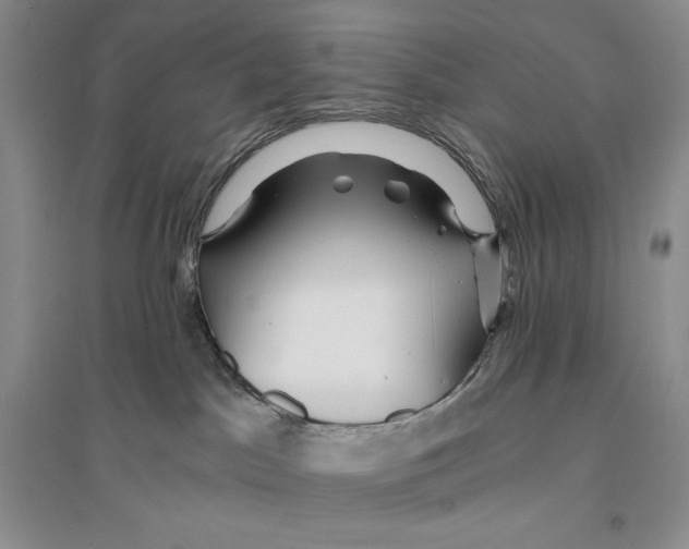 X0000096180045200802151451