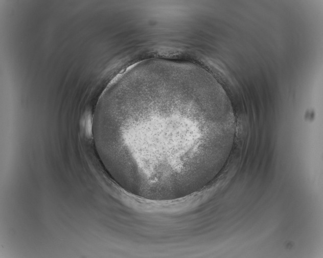 X0000096180046200802151451