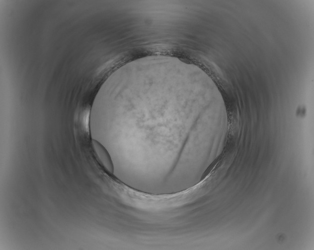 X0000096180047200802151451