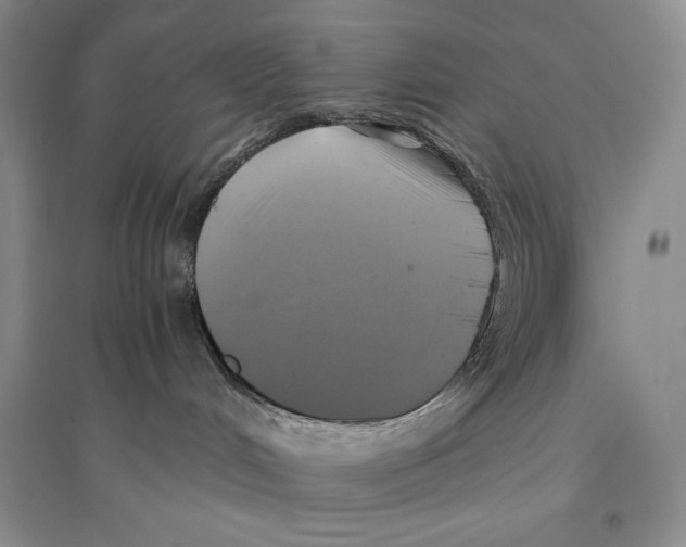 X0000096180048200802151451