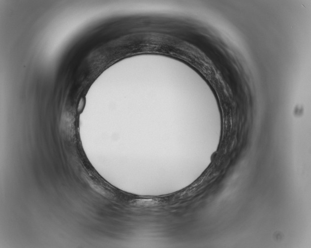 X0000096180050200802151450