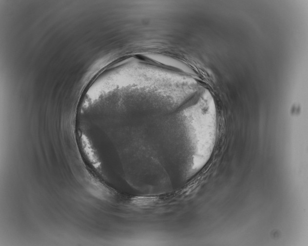 X0000096180051200802151450