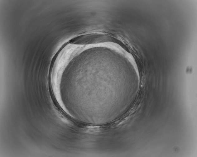 X0000096180052200802151450