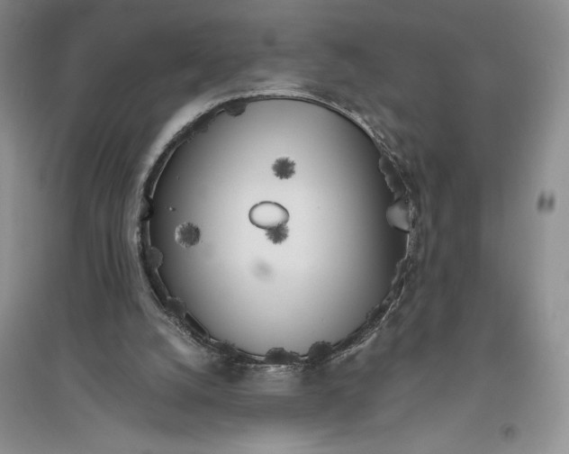 X0000096180056200802151450