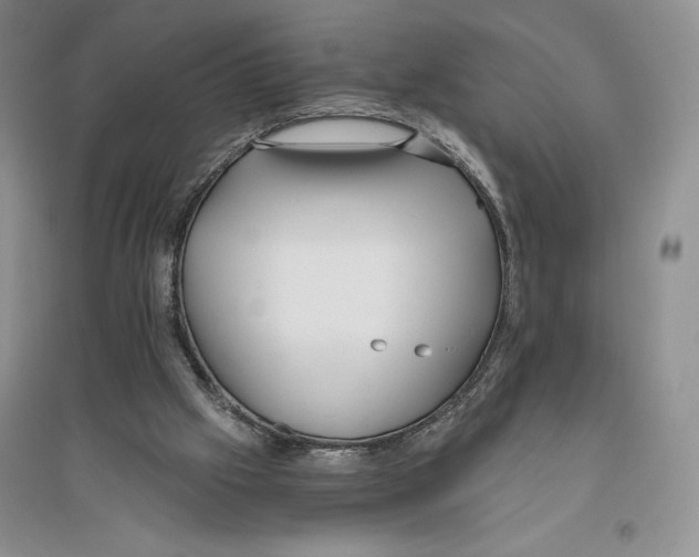 X0000096180057200802151450