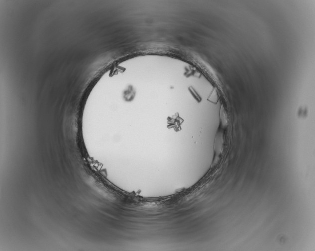 X0000096180059200802151450