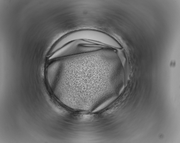 X0000096180060200802151450