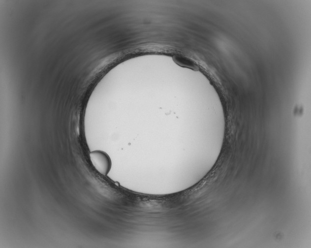 X0000096180062200802151450