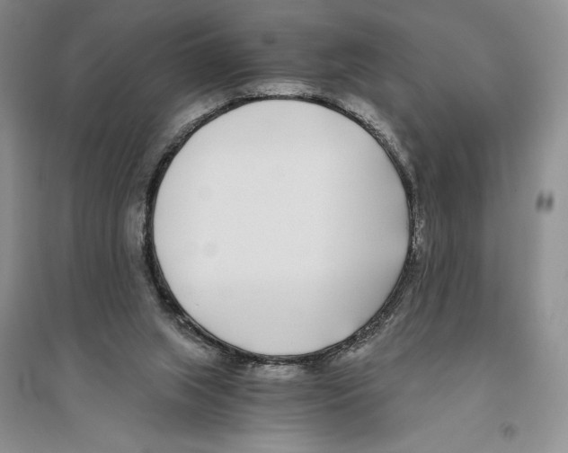 X0000096180063200802151450