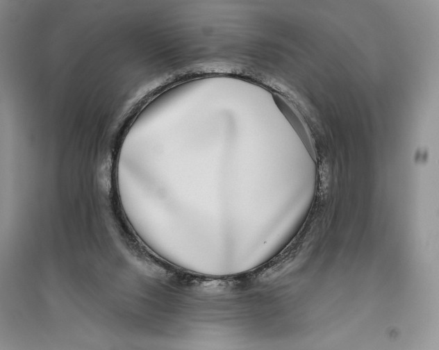 X0000096180064200802151450