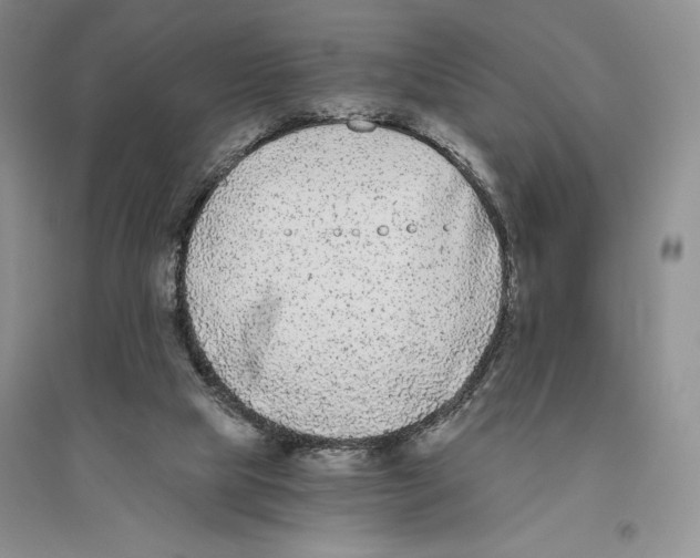 X0000096180065200802151450