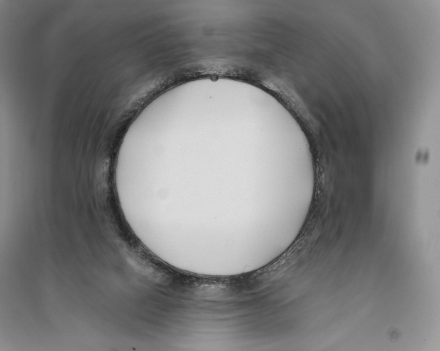 X0000096180066200802151450