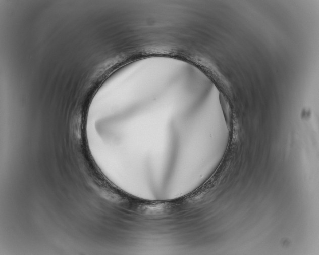X0000096180068200802151450
