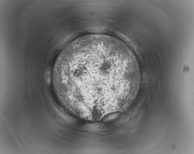 X0000096180069200802151450