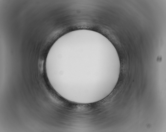 X0000096180070200802151450