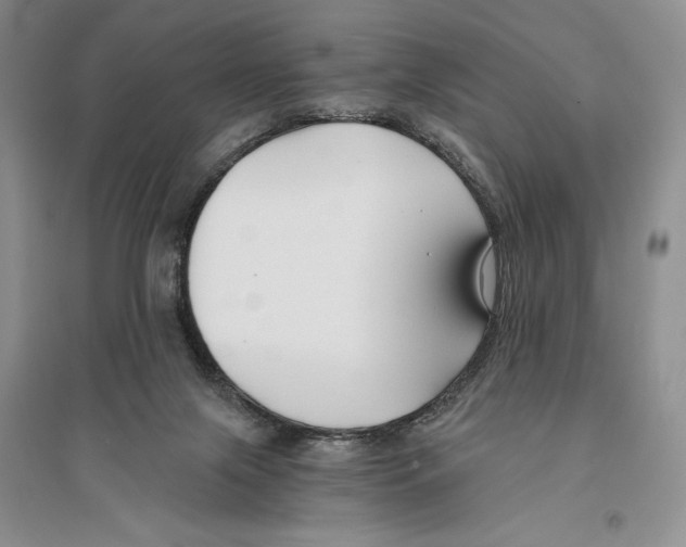 X0000096180071200802151450