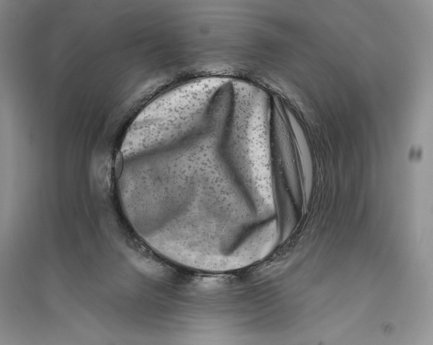 X0000096180072200802151450