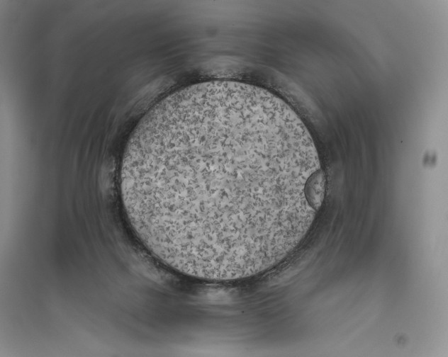 X0000096180073200802151450