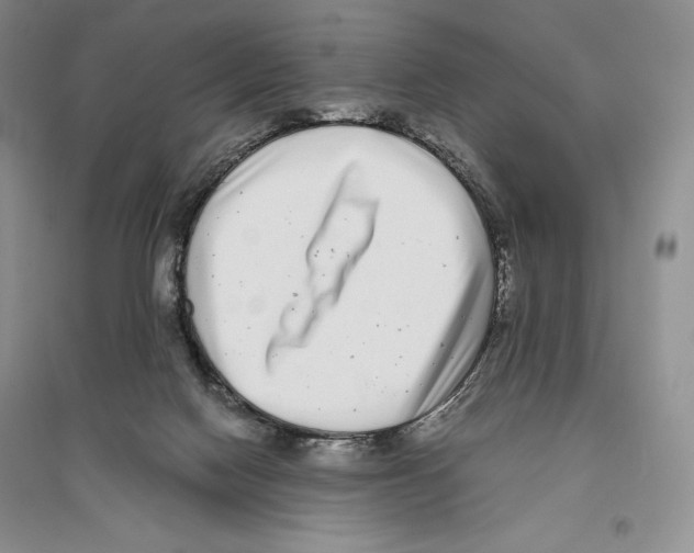X0000096180074200802151450