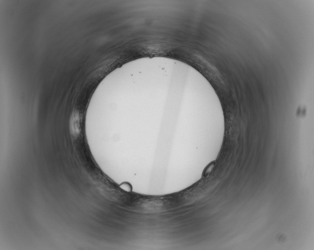 X0000096180075200802151450