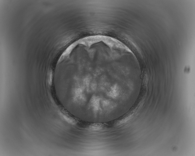 X0000096180076200802151450