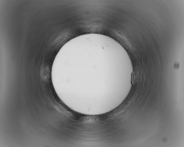 X0000096180077200802151450