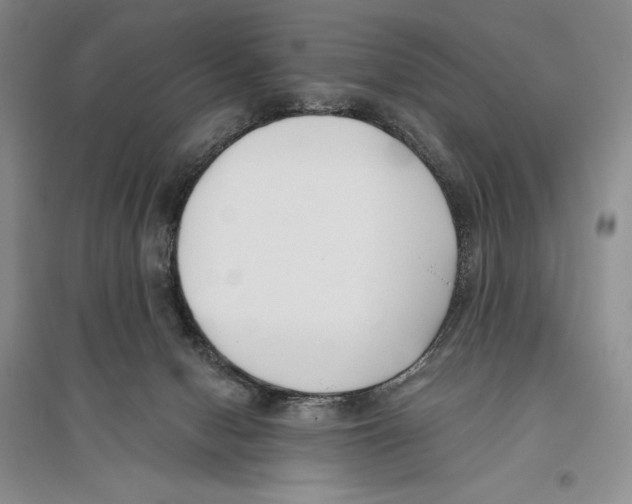 X0000096180078200802151450