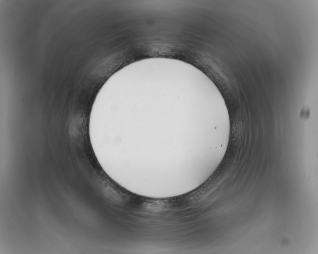 X0000096180079200802151451