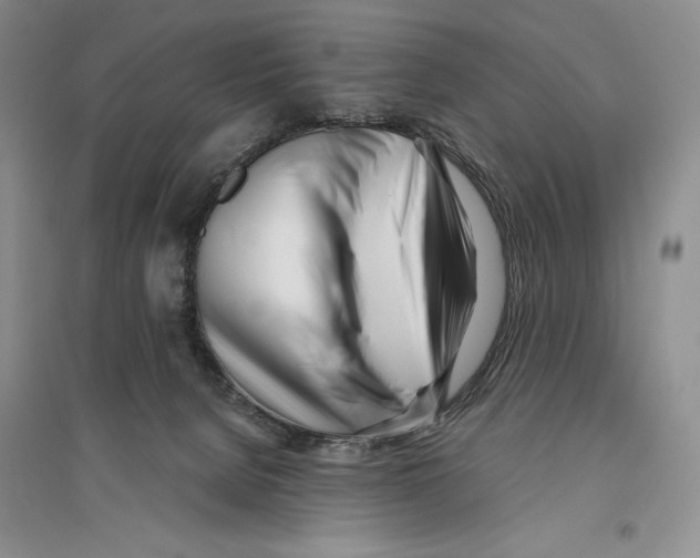 X0000096180080200802151451