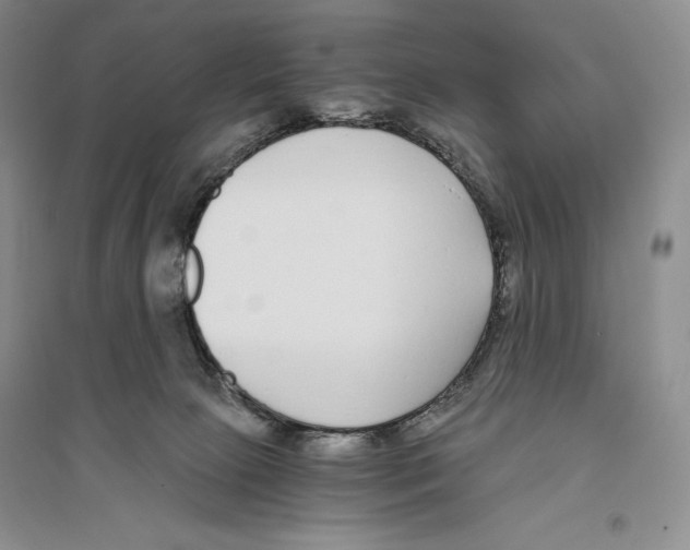 X0000096180081200802151451