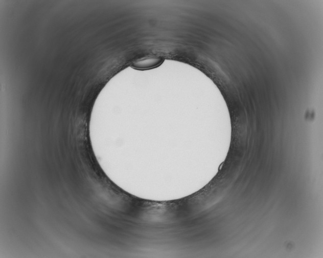 X0000096180083200802151451