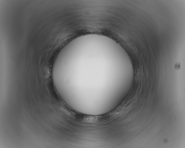 X0000096180084200802151451