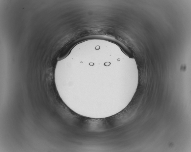X0000096180085200802151451