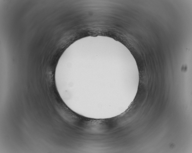 X0000096180086200802151451