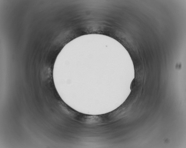 X0000096180087200802151451