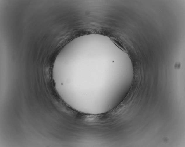 X0000096180088200802151451
