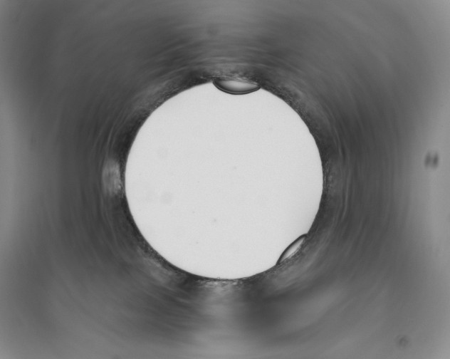 X0000096180089200802151451