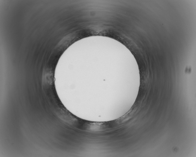 X0000096180090200802151451