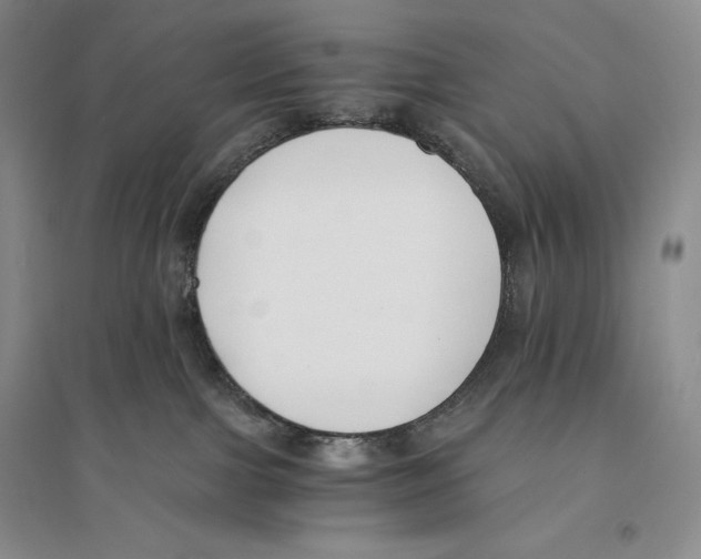 X0000096180091200802151451