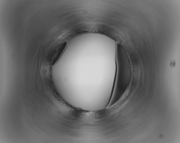 X0000096180092200802151451