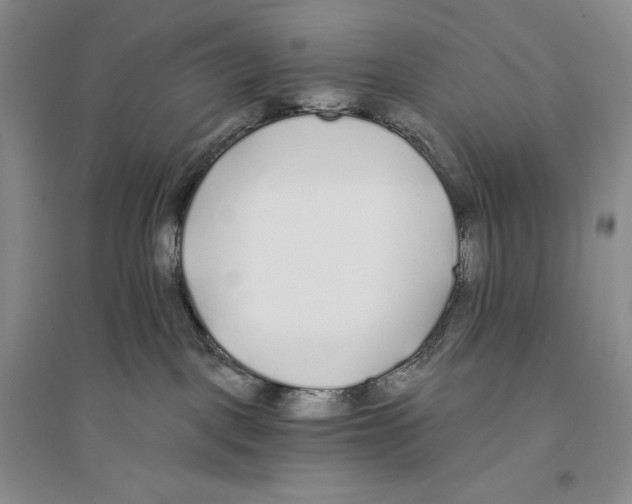 X0000096180093200802151451