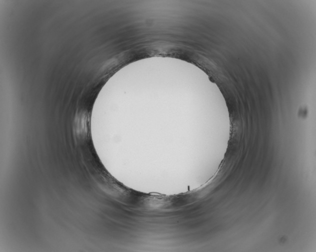 X0000096180094200802151451