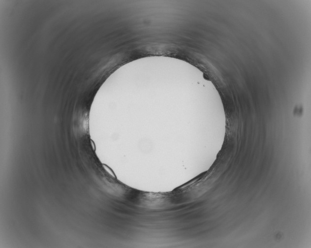 X0000096180095200802151451