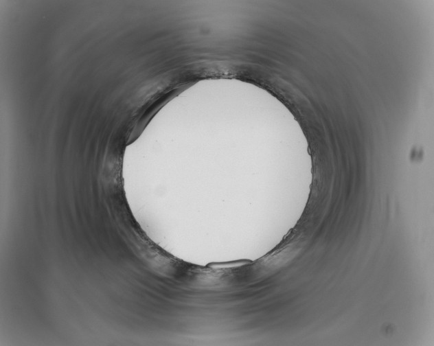 X0000096180096200802151451