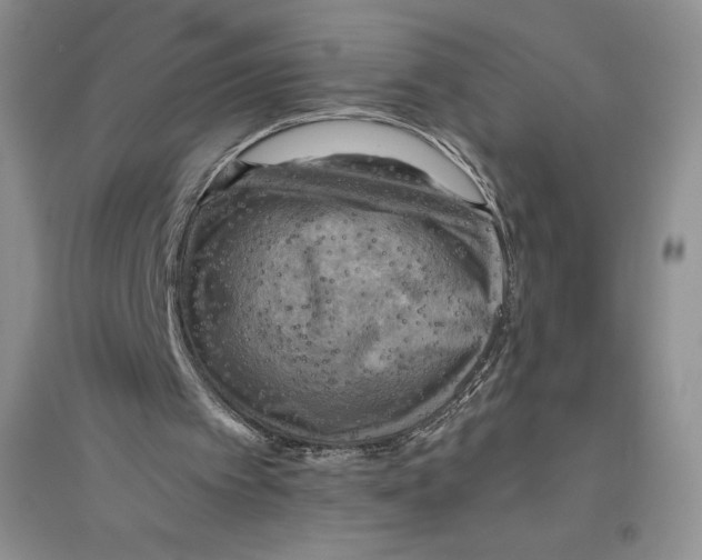 X0000096180097200802151450