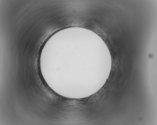 X0000096180098200802151450