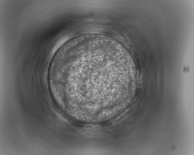 X0000096180099200802151450