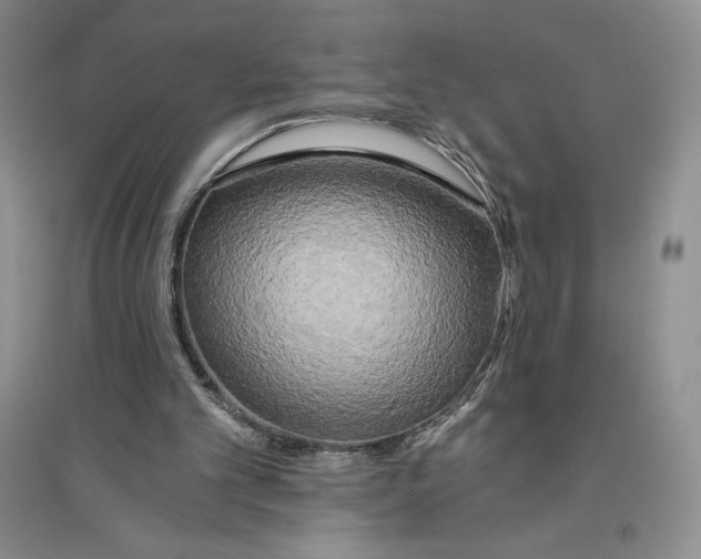 X0000096180101200802151450