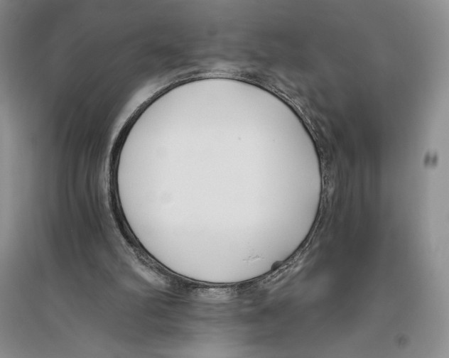 X0000096180102200802151450